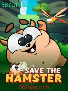 SavetheHamster: O Desafio Divertido e Inteligente do 567UP.com