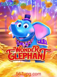 Descubra o Fascinante Mundo de WonderElephant